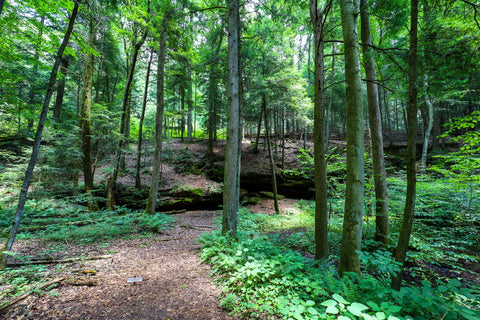 Rock shelters and caves within Conkles hollow state nature preserve in Hocking county Ohio 