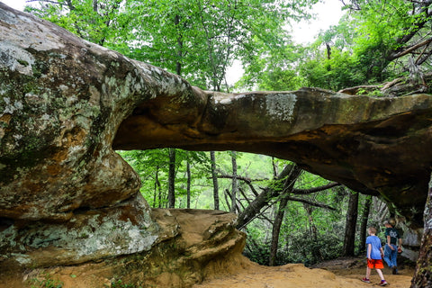 princess arch trail red river gorge