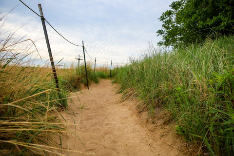 Sand dune hiking trails within montrose beach dunes natural area in Chicago Illinois