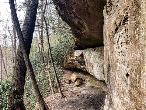 hidden arch trail red river gorge