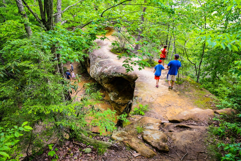 princess arch trail red river gorge