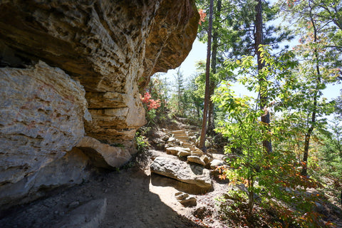 auxier ridge trail