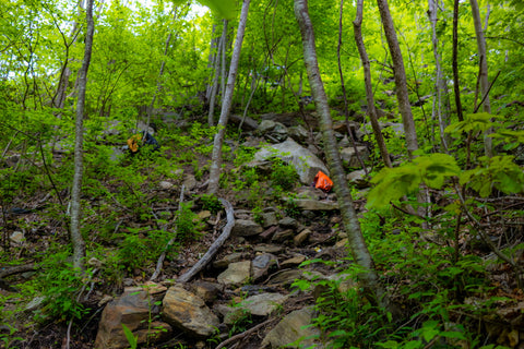 Mountain waters scenic byway Nantahala National Forest North Carolina waterfalls  Cullasaja falls