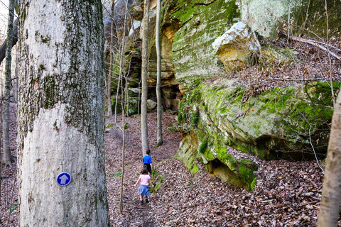 caves along the tobacco cave loop on the lower trails of jeffreys cliffs kentucky