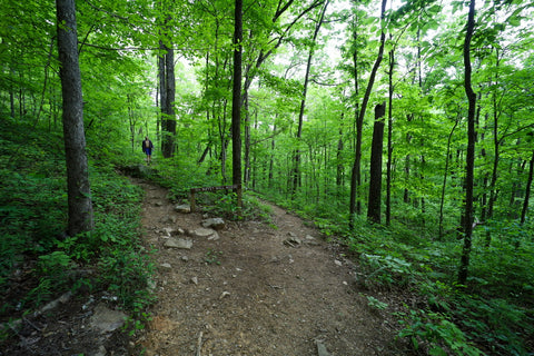 Buffet wall access trail in Denny cove within south Cumberland State Park in Tennessee 