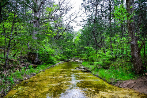 turkey run creek in turkey run park