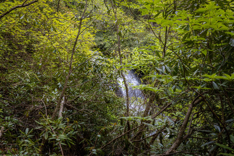 White owl falls dew falls John’s jump falls Nantahala National Forest waterfalls North Carolina blue ridge mountains hiking Slippery witch falls