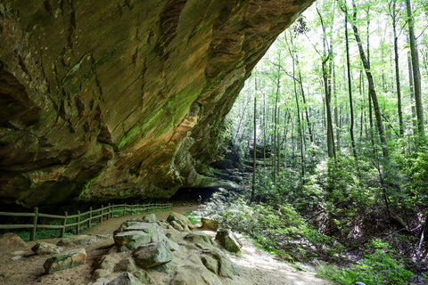 inside hidden valley leading towards Hazard Cave in Pickett CCC State Park