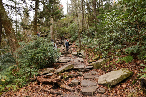 mountainous hike to rough ridge along the tanawha trail on the blue ridge parkway