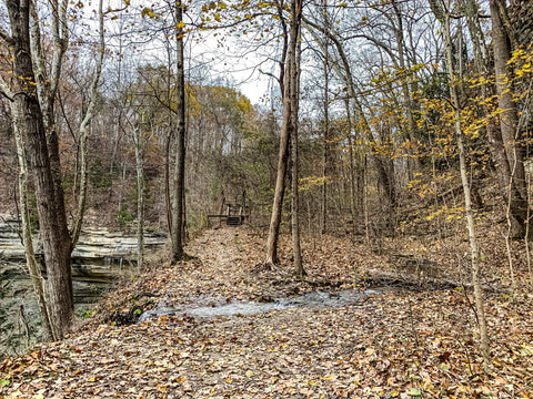 tunnel falls clifty falls state park 