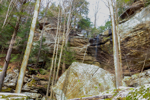 anglin falls in the john b stephenson memorial state nature preserve