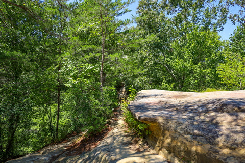 half moon arch trail red river gorge