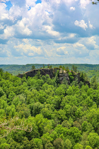 chimney top rock trail red river gorge