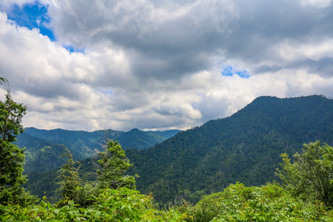 Chimney tops trail in great smoky mountains National park Tennessee 