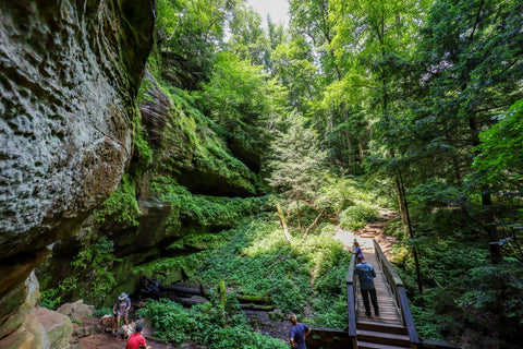 Hidden rock shelters behind lush forest near rock house in Hocking hills state park Ohio 