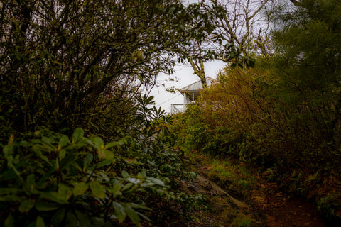 Yellow mountain fire tower trail Nantahala National Forest North Carolina 