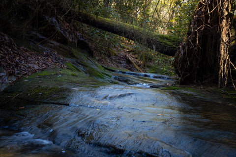 Chimney top falls red river gorge Daniel Boone National Forest Kentucky hiking trail