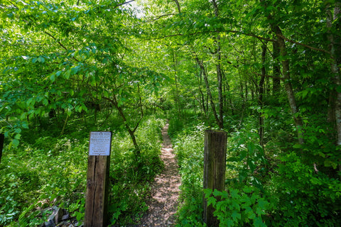 Entrance to yellow birch ravine nature preserve Indiana 