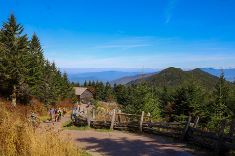 Views of the Blue Ridge Mountains from Mount Mitchell state park North Carolina 