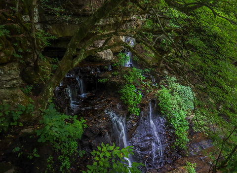 Old stone fort state archeological park Tennessee waterfall hiking trails prehistoric site