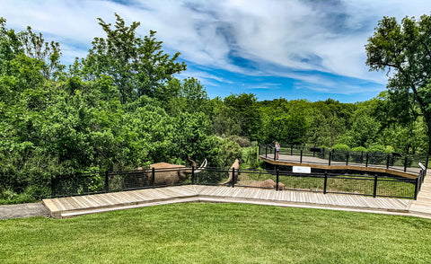 discovery trail exhibit in big bone lick state park