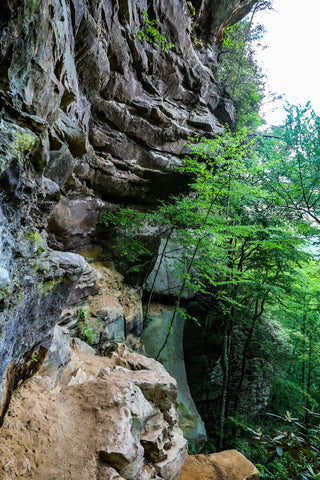 princess arch trail red river gorge