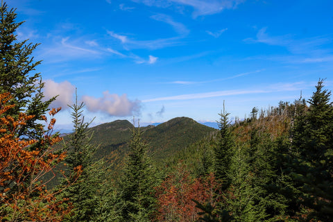 Distant view of Balsam Cone and Cattail Peak along the Deep Gap and Black Mountain Crest Trail in Mount Mitchell State Park North Carolina