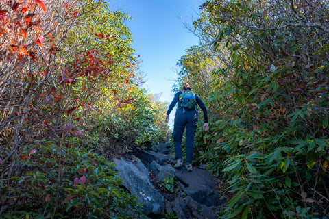 The Low Gap Trail and Appalachian Trail junction rests on a physical landmark known as, “Low Gap”