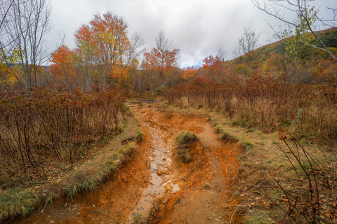 Graveyard fields loop to waterfalls of Yellowstone prong along blue ridge parkway in North Carolina 