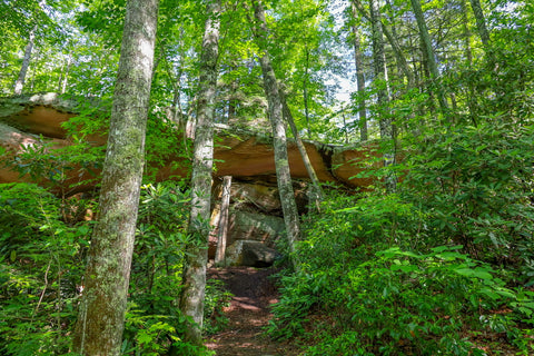 natural bridge arch in pickett ccc state park