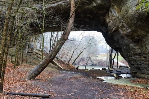 hiking to creelsboro natural bridge in russell  kentucky