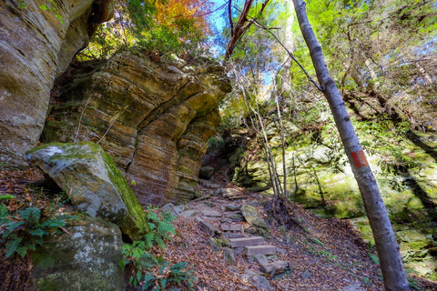 Three bridges trail to fern bridge arch in Carter caves state park Kentucky 