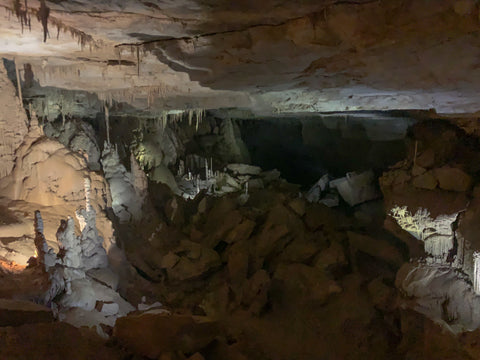 stalagmite forest n cathedral caverns state park alabama