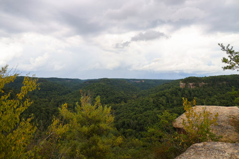 Grays arch rough trail rush ridge Hansons point pinch’em tight hiking trail red river gorge Daniel Boone National Forest Kentucky 