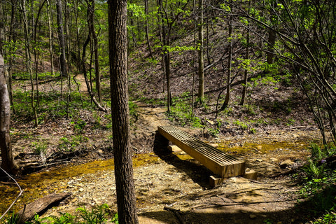 Red Trail Horine Reservation Jefferson Memorial Forest