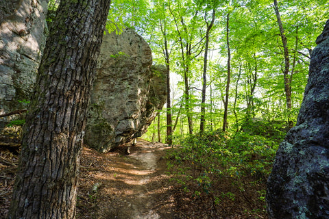 Canyon bluffs of river trail in DeSoto Falls Picnic Area in northeast Alabama 