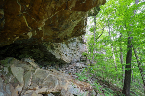 Caves and rock shelters along Denny west trail in south Cumberland State Park in Tennessee 