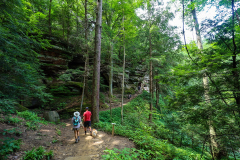 Hiking trail to rock house in Hocking hills state park Ohio 