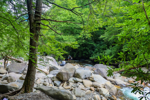 Waterfall along chimney tops trail great smoky mountains National park Tennessee 