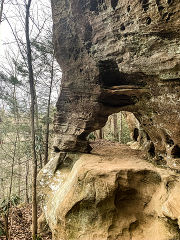 hidden arch trail red river gorge