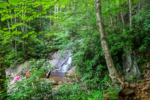 wading pool atop cabin creek falls in grayson highlands state park in virginia