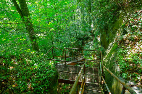 Metal stairs leading down to yahoo falls in big south fork of Kentucky 