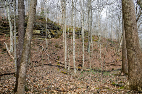 Hillside with wild caves in yellow birch ravine nature preserve Indiana 