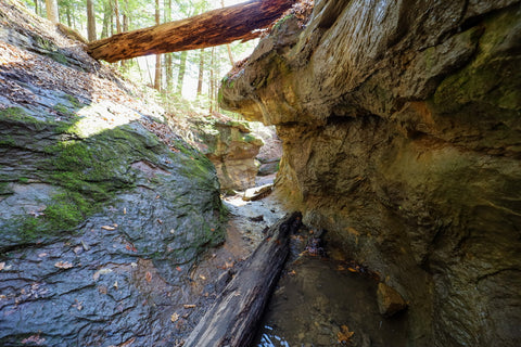 Hiking through the creeks of falls canyon along trail 9 in Turkey Run State Park Indiana 