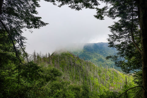 Chimney tops trail in great smoky mountains National park Tennessee 