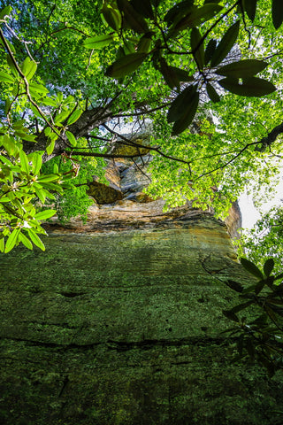 tower rock trail red river gorge