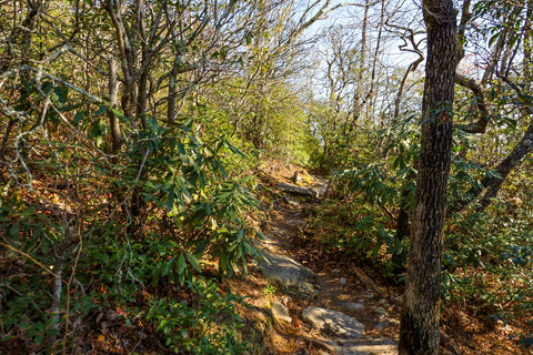 hiking to hawksbill mountain in linville gorge wilderness