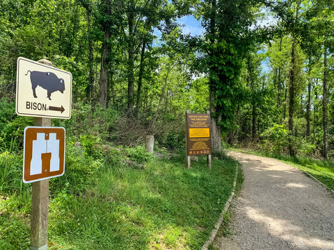 bison trace trail in big bone lick state park