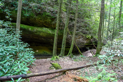 pogue creek canyon