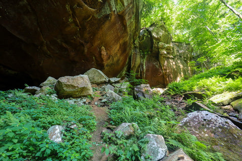 Rockshelter along the hiking trail to yahoo falls in big south fork of Kentucky